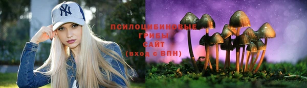 PSILOCYBIN Балахна