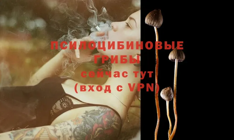 Галлюциногенные грибы Magic Shrooms  что такое наркотик  Полысаево 